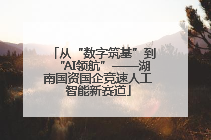 从“数字筑基”到“AI领航”——湖南国资国企竞速人工智能新赛道