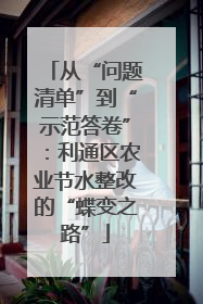 从“问题清单”到“示范答卷”：利通区农业节水整改的“蝶变之路”