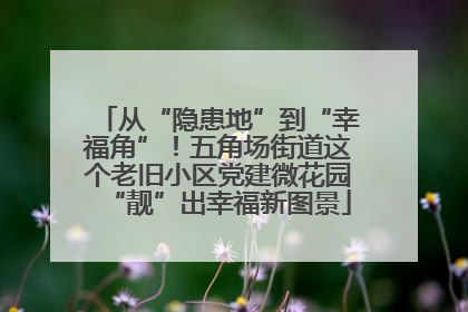 从“隐患地”到“幸福角”！五角场街道这个老旧小区党建微花园“靓”出幸福新图景