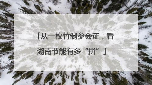 从一枚竹制参会证，看湖南节能有多“拼”