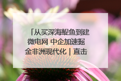 从买深海鳀鱼到建微电网 中企加速掘金非洲现代化｜直击中非经贸博览会