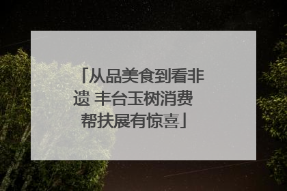 从品美食到看非遗 丰台玉树消费帮扶展有惊喜