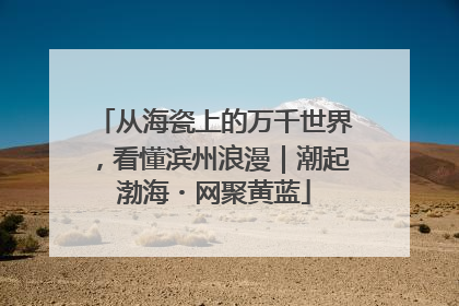 从海瓷上的万千世界，看懂滨州浪漫｜潮起渤海・网聚黄蓝