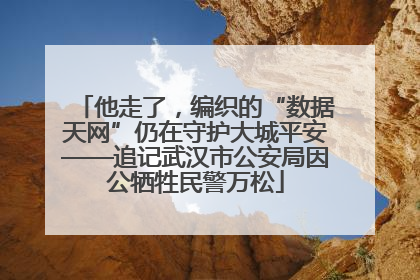 他走了，编织的“数据天网”仍在守护大城平安——追记武汉市公安局因公牺牲民警万松