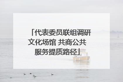 代表委员联组调研文化场馆 共商公共服务提质路径