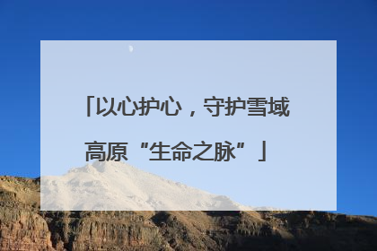 以心护心，守护雪域高原“生命之脉”