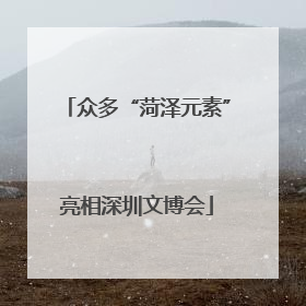 众多“菏泽元素”亮相深圳文博会