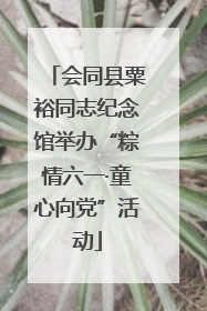 会同县粟裕同志纪念馆举办“粽情六一·童心向党”活动