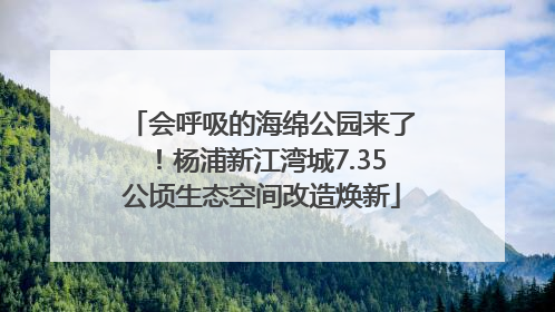 会呼吸的海绵公园来了！杨浦新江湾城7.35公顷生态空间改造焕新