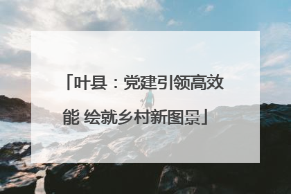 叶县：党建引领高效能 绘就乡村新图景