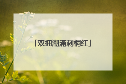 双拥潮涌刺桐红