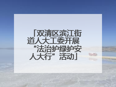 双清区滨江街道人大工委开展“法治护绿护安人大行”活动