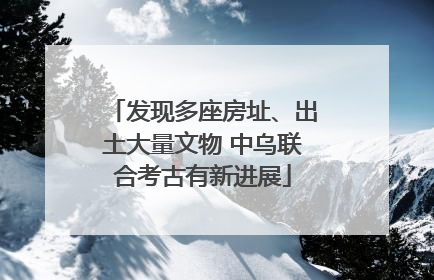 发现多座房址、出土大量文物 中乌联合考古有新进展