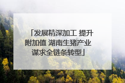 发展精深加工 提升附加值 湖南生猪产业谋求全链条转型