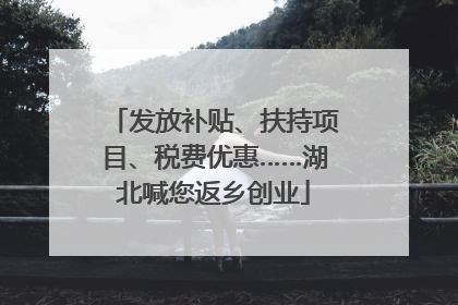 发放补贴、扶持项目、税费优惠……湖北喊您返乡创业