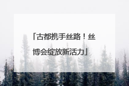 古都携手丝路！丝博会绽放新活力