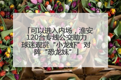 可以进入内场，淮安120台专线公交助力球迷观赏“小龙虾”对阵“恐龙妹”