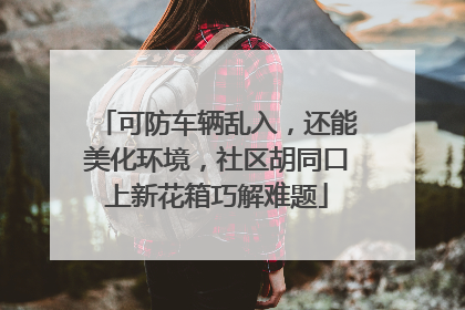 可防车辆乱入，还能美化环境，社区胡同口上新花箱巧解难题