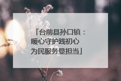 台前县孙口镇：暖心守护践初心 为民服务显担当