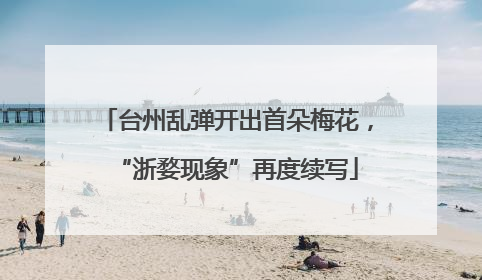 台州乱弹开出首朵梅花，“浙婺现象”再度续写