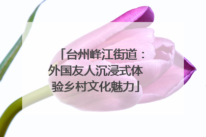 台州峰江街道：外国友人沉浸式体验乡村文化魅力