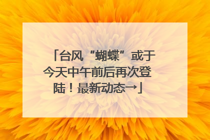 台风“蝴蝶”或于今天中午前后再次登陆！最新动态→