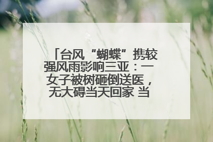 台风“蝴蝶”携较强风雨影响三亚：一女子被树砸倒送医，无大碍当天回家 当地已紧急清障