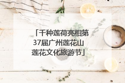 千种莲荷亮相第37届广州莲花山莲花文化旅游节