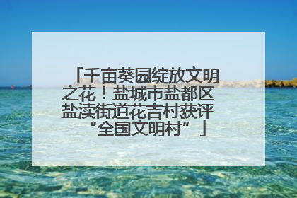 千亩葵园绽放文明之花！盐城市盐都区盐渎街道花吉村获评“全国文明村”