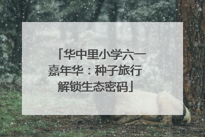 华中里小学六一嘉年华：种子旅行解锁生态密码