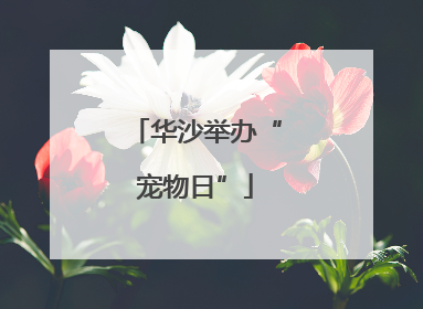 华沙举办“宠物日”