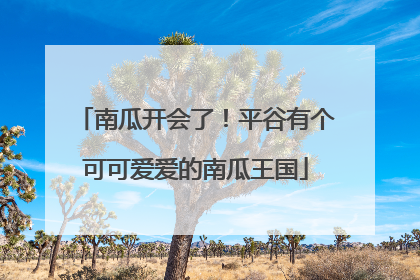 南瓜开会了！平谷有个可可爱爱的南瓜王国