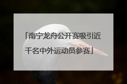 南宁龙舟公开赛吸引近千名中外运动员参赛