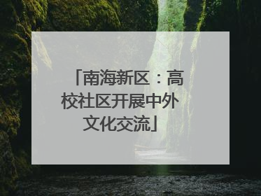 南海新区：高校社区开展中外文化交流