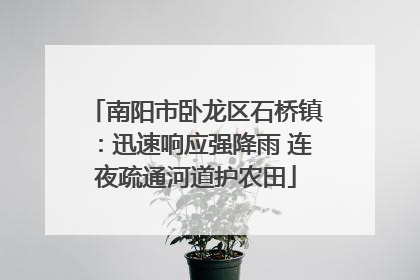 南阳市卧龙区石桥镇：迅速响应强降雨 连夜疏通河道护农田