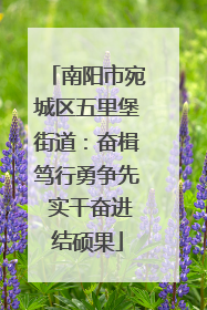 南阳市宛城区五里堡街道：奋楫笃行勇争先 实干奋进结硕果