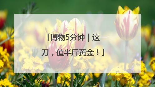 博物5分钟｜这一刀，值半斤黄金！