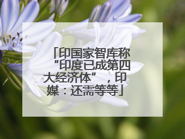 印国家智库称“印度已成第四大经济体”，印媒：还需等等