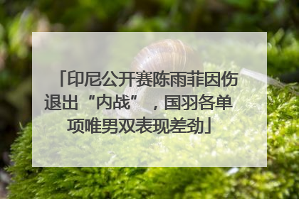 印尼公开赛陈雨菲因伤退出“内战”，国羽各单项唯男双表现差劲