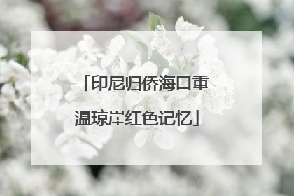 印尼归侨海口重温琼崖红色记忆