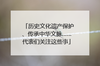 历史文化遗产保护、传承中华文脉……代表们关注这些事