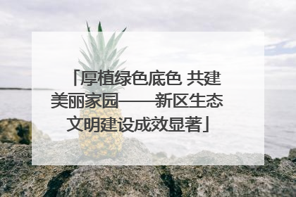厚植绿色底色 共建美丽家园——新区生态文明建设成效显著