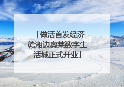做活首发经济 赣湘边奥莱数字生活城正式开业