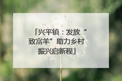 兴平镇：发放“致富羊”助力乡村振兴启新程