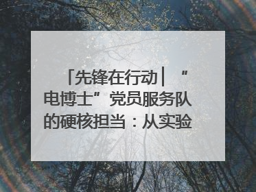 先锋在行动 ▏“电博士”党员服务队的硬核担当：从实验室到抗洪一线