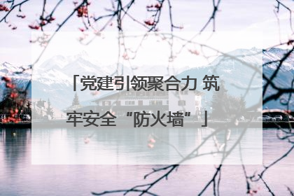 党建引领聚合力 筑牢安全“防火墙”