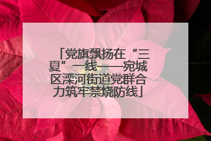 党旗飘扬在“三夏”一线——宛城区溧河街道党群合力筑牢禁烧防线