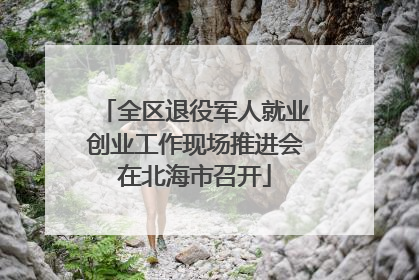 全区退役军人就业创业工作现场推进会在北海市召开