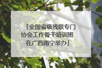 全国省级残联专门协会工作骨干培训班在广西南宁举办