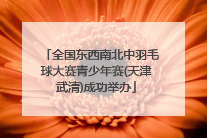 全国东西南北中羽毛球大赛青少年赛(天津武清)成功举办